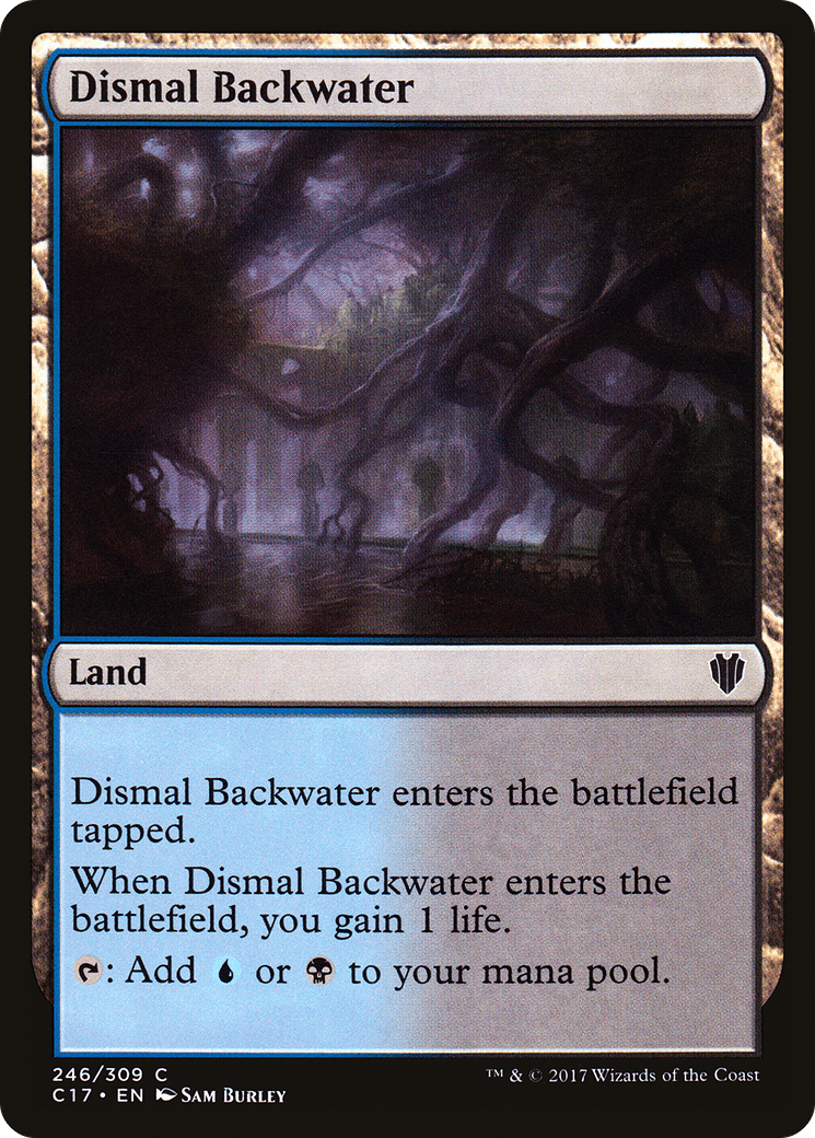 Dismal Backwater