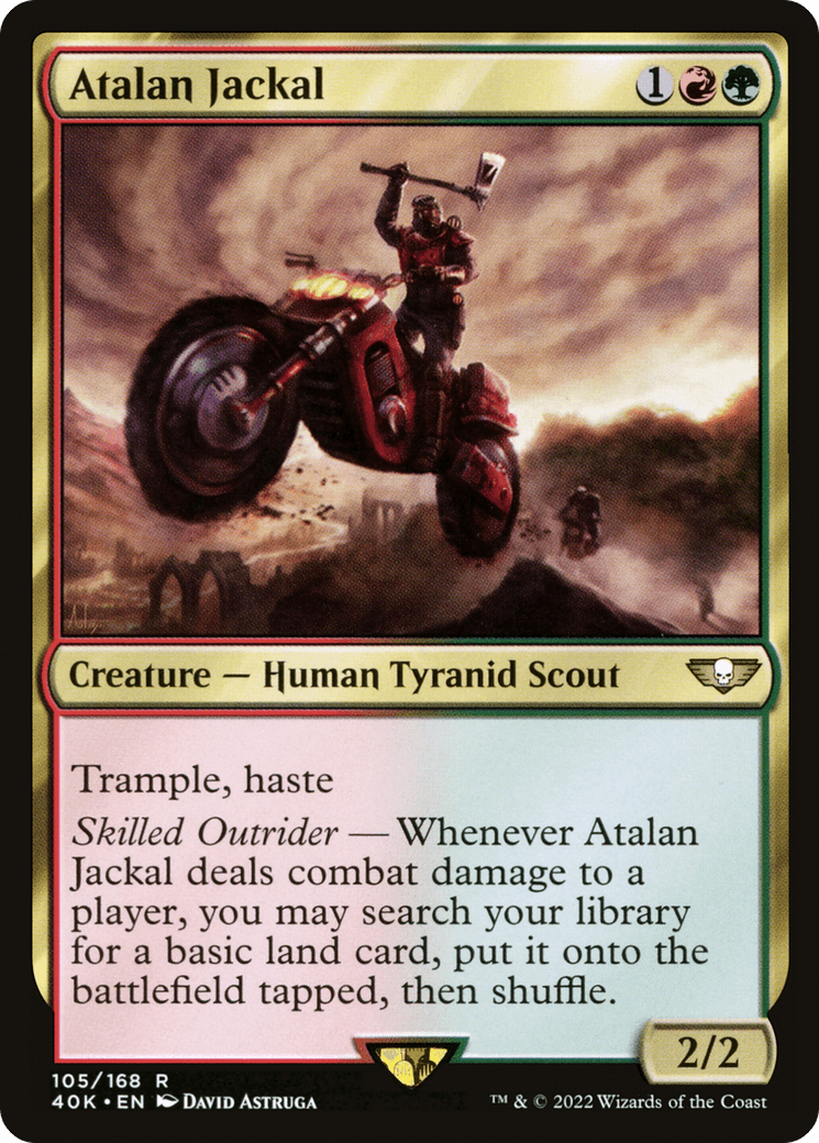 Atalan Jackal