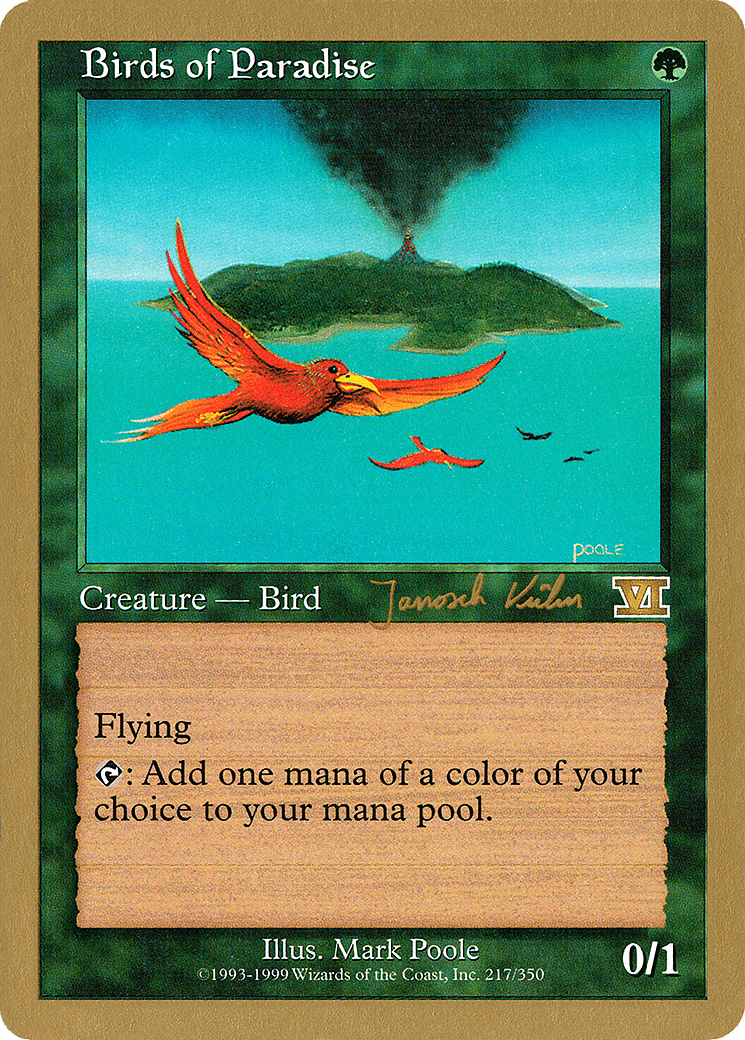 Birds of Paradise