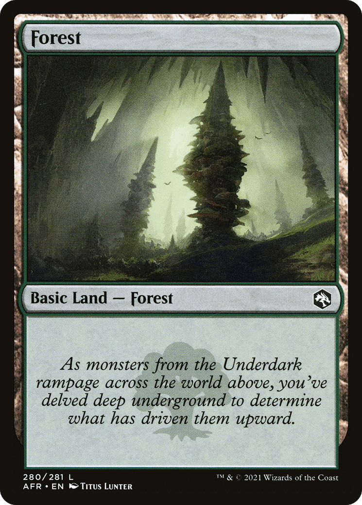 Forest