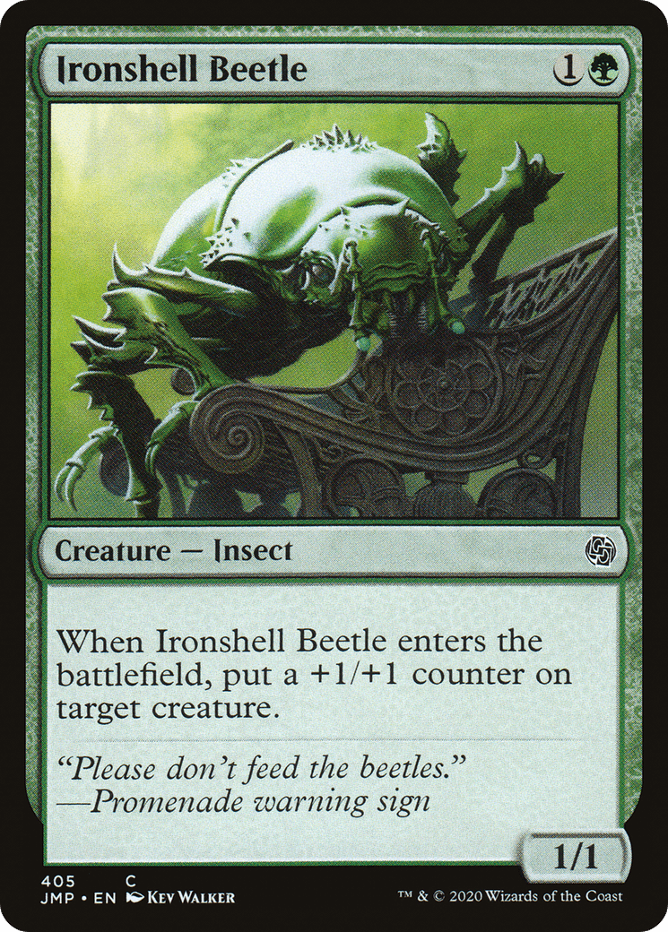 Ironshell Beetle