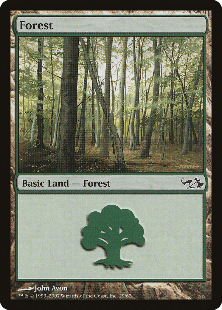 Forest