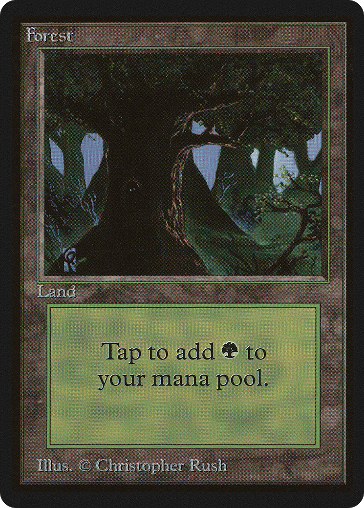 Forest