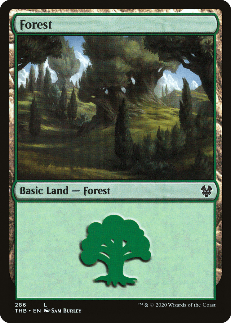 Forest