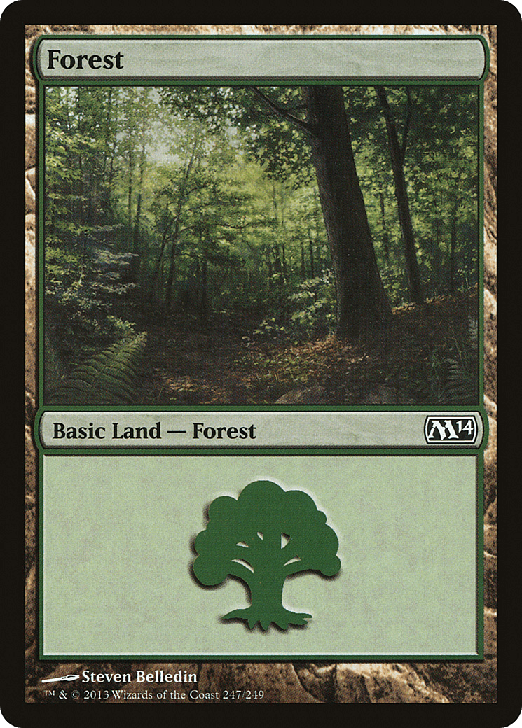 Forest