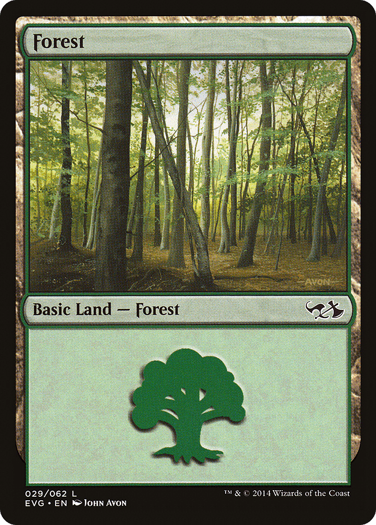 Forest