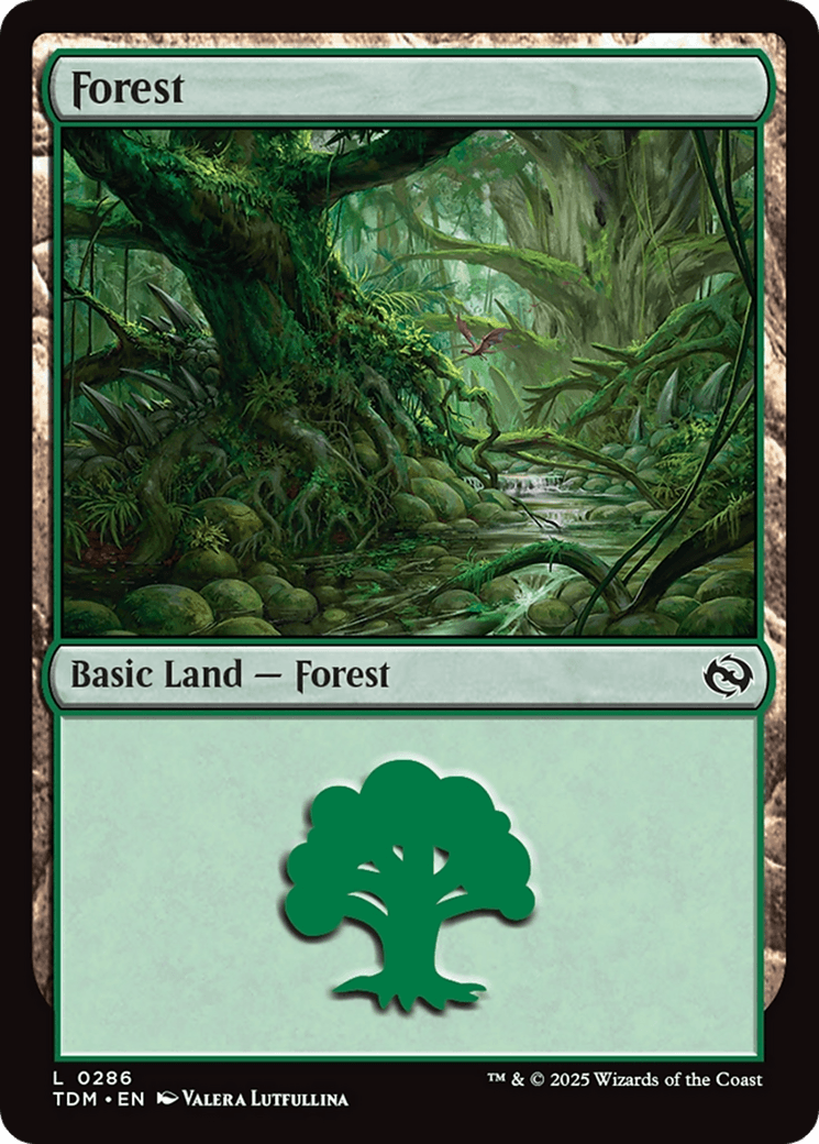 Forest