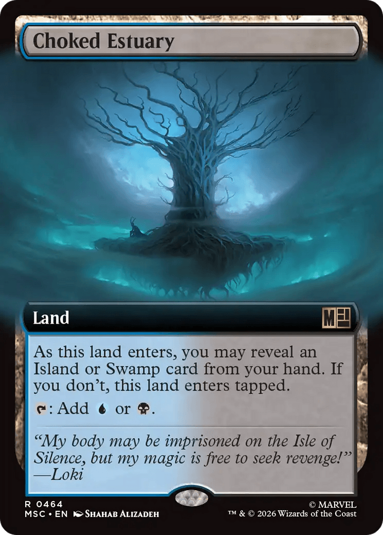 Choked Estuary