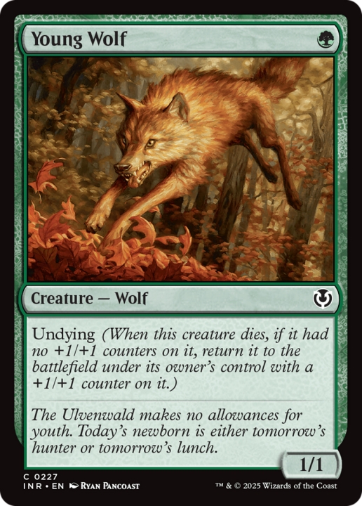 Young Wolf in the group Magic the Gathering / Sets / Innistrad Remastered at Proxyprinters.com (102051)