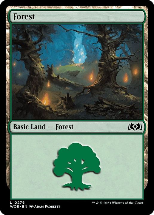 Forest in the group Magic the Gathering / Types / Land / Forest at Proxyprinters.com (10344)