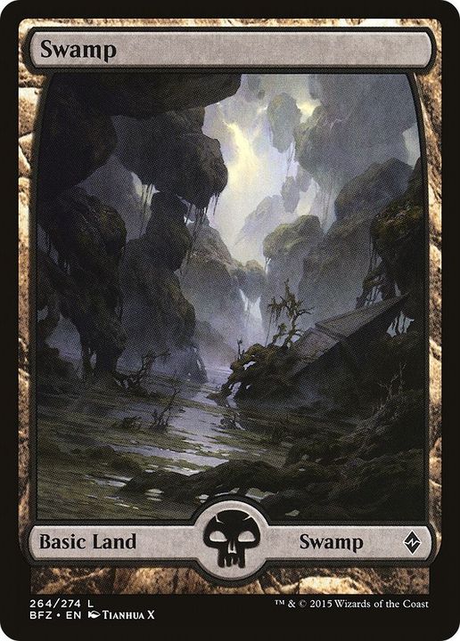 Swamp in the group Magic the Gathering / Types / Land / Swamp at Proxyprinters.com (10528)