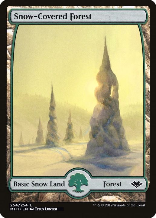 Snow-Covered Forest in the group Magic the Gathering / Types / Land / Forest at Proxyprinters.com (10530)