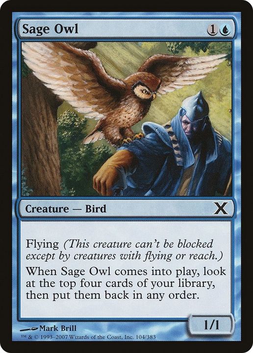 Sage Owl in the group Magic the Gathering / Sets / Tenth Edition at Proxyprinters.com (11366)