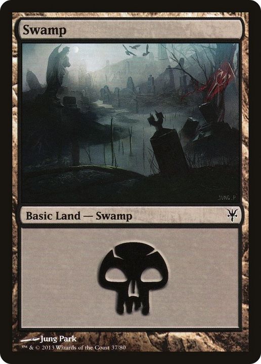 Swamp in the group Magic the Gathering / Types / Land / Swamp at Proxyprinters.com (12402)