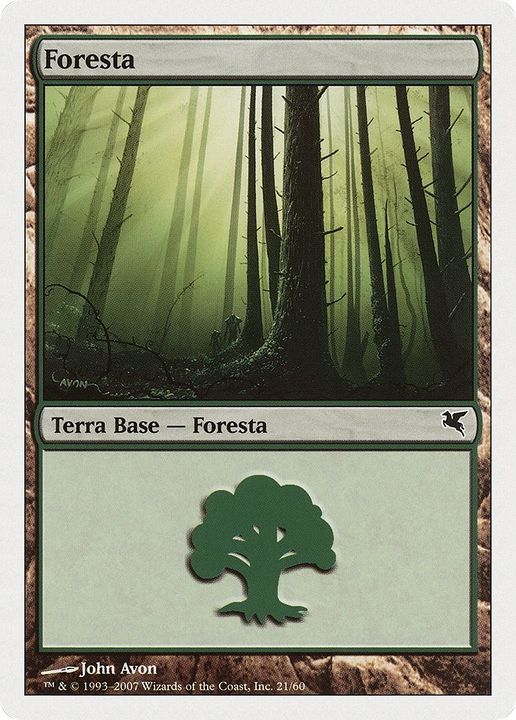 Forest in the group Magic the Gathering / Sets / Salvat 2005 at Proxyprinters.com (12502)