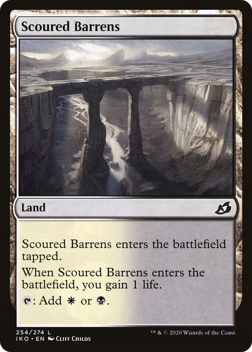 Scoured Barrens in the group Advanced search at Proxyprinters.com (12660)