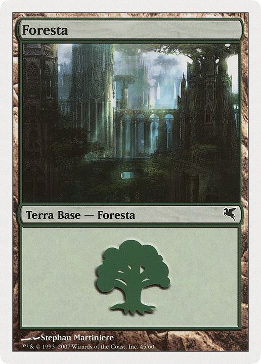 Forest in the group Magic the Gathering / Sets / Salvat 2005 at Proxyprinters.com (12774)