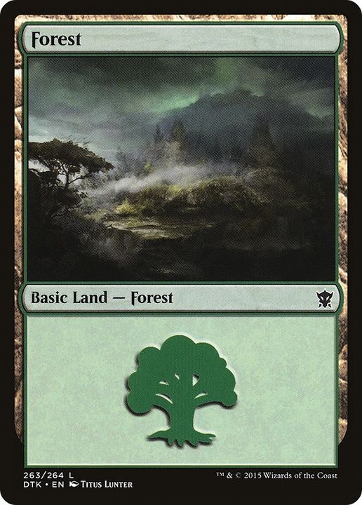 Forest in the group Magic the Gathering / Types / Land / Forest at Proxyprinters.com (13157)