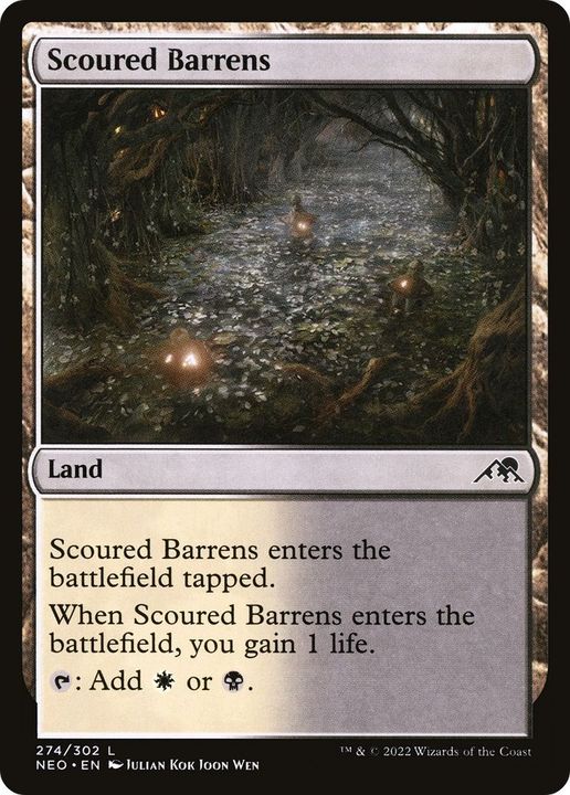 Scoured Barrens in the group Magic the Gathering / Types / Colors / Colorless at Proxyprinters.com (133)