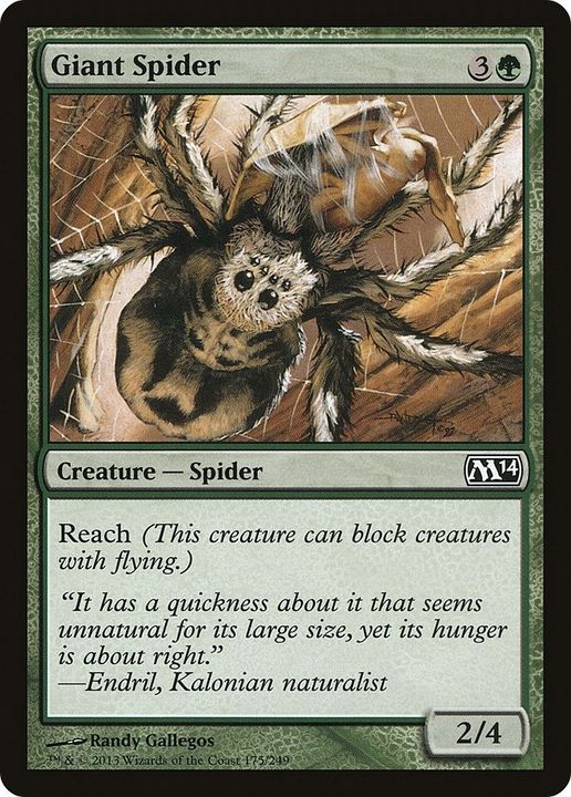 Giant Spider in the group Magic the Gathering / Types / Colors / Green at Proxyprinters.com (13699)