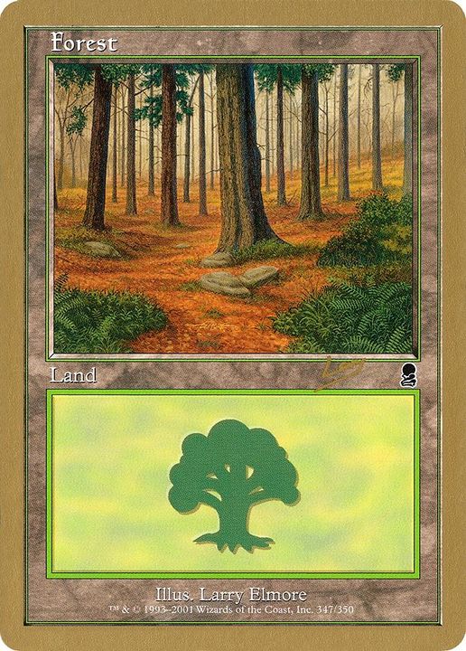 Forest in the group Magic the Gathering / Sets / World Championship Decks 2002 at Proxyprinters.com (13700)