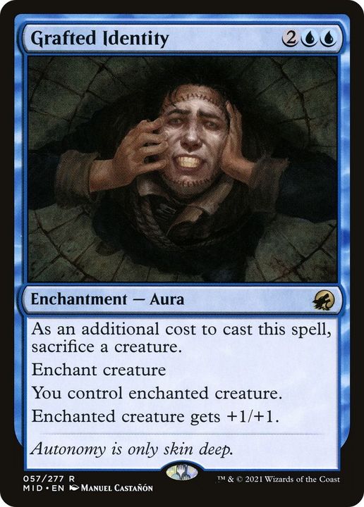 Grafted Identity in the group Magic the Gathering / Types / Colors / Blue at Proxyprinters.com (13733)