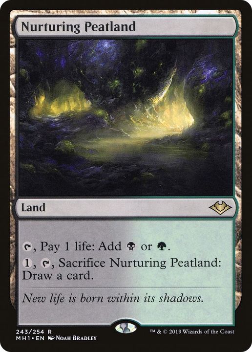 Nurturing Peatland in the group Magic the Gathering / Types / Colors / Colorless at Proxyprinters.com (14444)