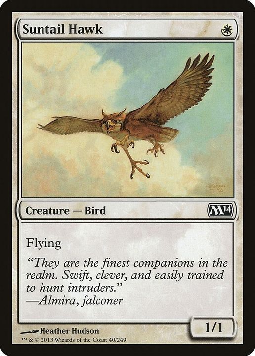 Suntail Hawk in the group Magic the Gathering / Sets / Magic 2015 at Proxyprinters.com (14938)