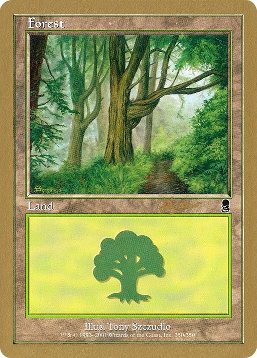 Forest in the group Magic the Gathering / Types / Land / Forest at Proxyprinters.com (15232)