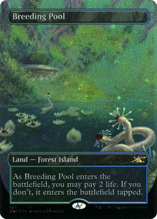 Breeding Pool in the group Magic the Gathering / Types / Land / Forest at Proxyprinters.com (15413)