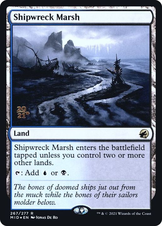 Shipwreck Marsh in the group Advanced search at Proxyprinters.com (15744)