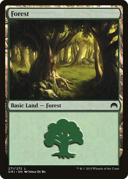 Forest in the group Magic the Gathering / Types / Land / Forest at Proxyprinters.com (15801)