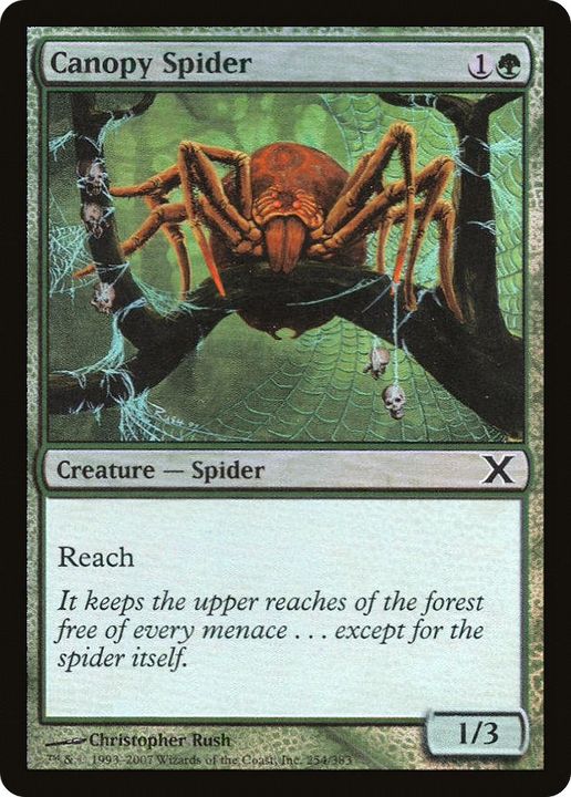 Canopy Spider in the group Singles at Proxyprinters.com (16396)