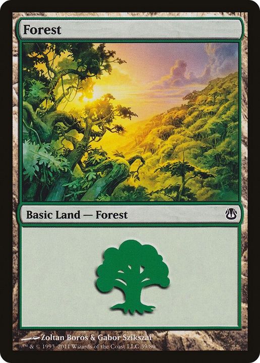 Forest in the group Magic the Gathering / Types / Land / Forest at Proxyprinters.com (16764)