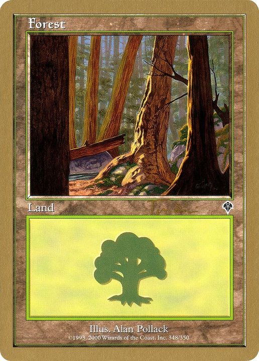 Forest in the group Magic the Gathering / Types / Land / Forest at Proxyprinters.com (16936)