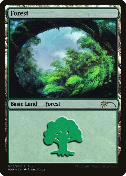 Forest in the group Magic the Gathering / Types / Land / Forest at Proxyprinters.com (1715)