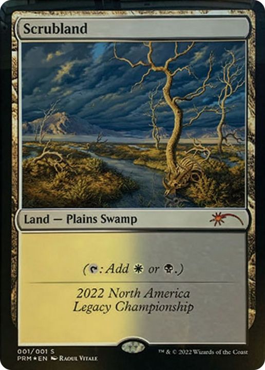 Scrubland in the group Magic the Gathering / Sets / Legacy Championship at Proxyprinters.com (17530)