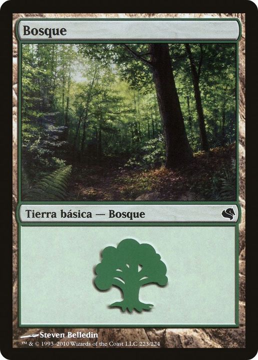 Forest in the group Magic the Gathering / Types / Land / Forest at Proxyprinters.com (17541)