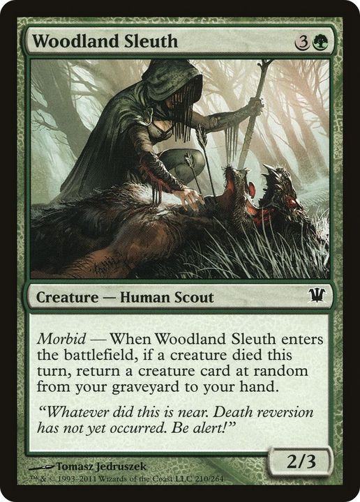 Woodland Sleuth in the group Magic the Gathering / Types / Creatures / Human at Proxyprinters.com (17789)