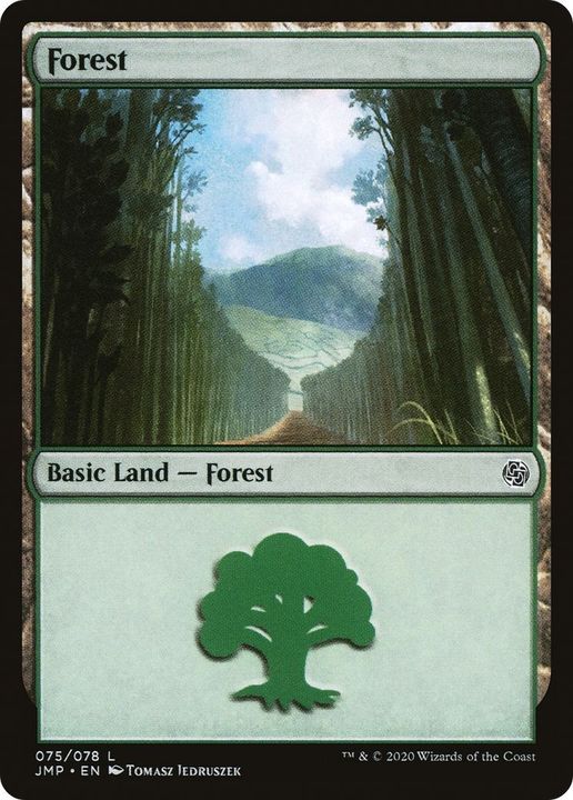 Forest in the group Magic the Gathering / Types / Land / Forest at Proxyprinters.com (17821)