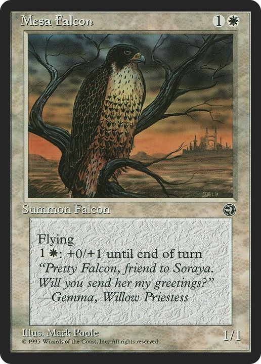 Mesa Falcon in the group Magic the Gathering / Types / Colors / White at Proxyprinters.com (1807)