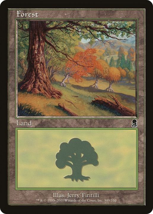 Forest in the group Magic the Gathering / Sets / Odyssey Promos at Proxyprinters.com (18175)