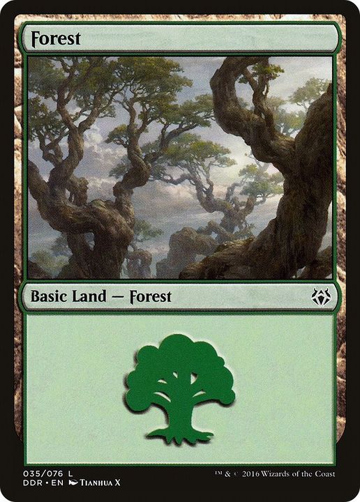 Forest in the group Magic the Gathering / Types / Land / Forest at Proxyprinters.com (182)