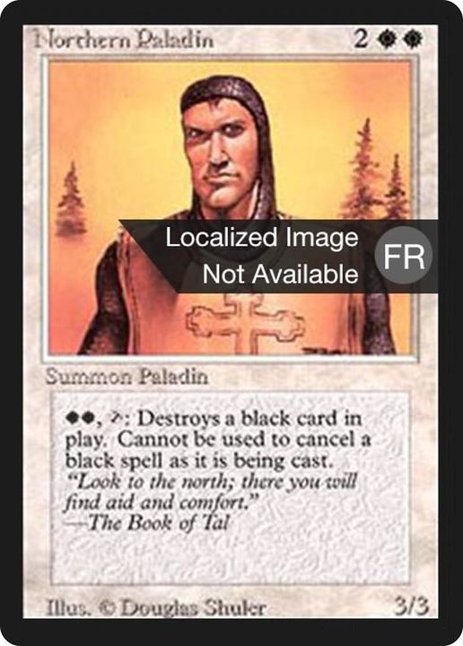 Northern Paladin in the group Magic the Gathering / Types / Creatures / Human at Proxyprinters.com (18375)