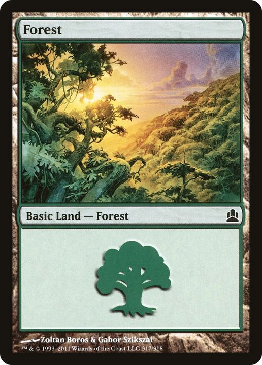 Forest in the group Magic the Gathering / Types / Land / Forest at Proxyprinters.com (18518)