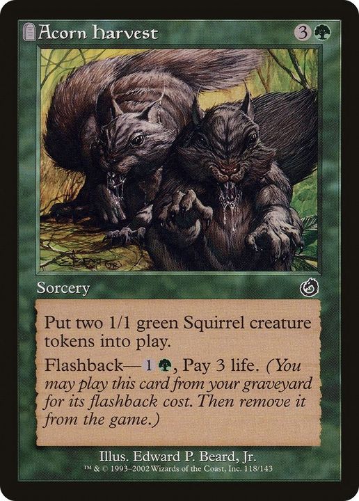 Acorn Harvest in the group Magic the Gathering / Sets / Torment at Proxyprinters.com (18574)