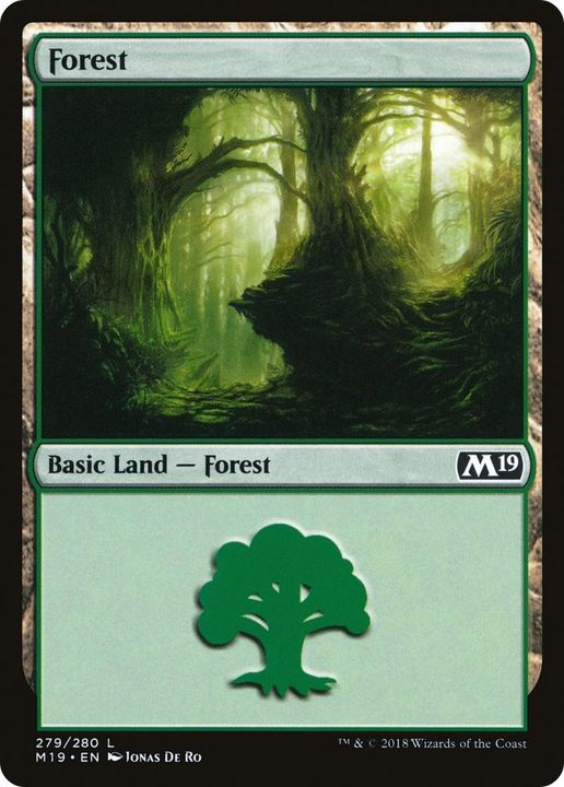 Forest in the group Magic the Gathering / Types / Land / Forest at Proxyprinters.com (18693)