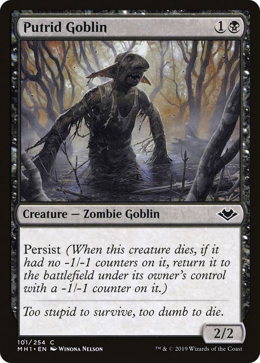 Putrid Goblin in the group Advanced search at Proxyprinters.com (18824)