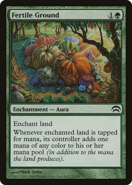 Fertile Ground in the group Magic the Gathering / Sets / Planechase at Proxyprinters.com (18927)