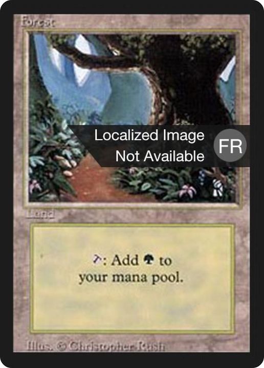 Forest in the group Magic the Gathering / Sets / Foreign Black Border at Proxyprinters.com (18948)